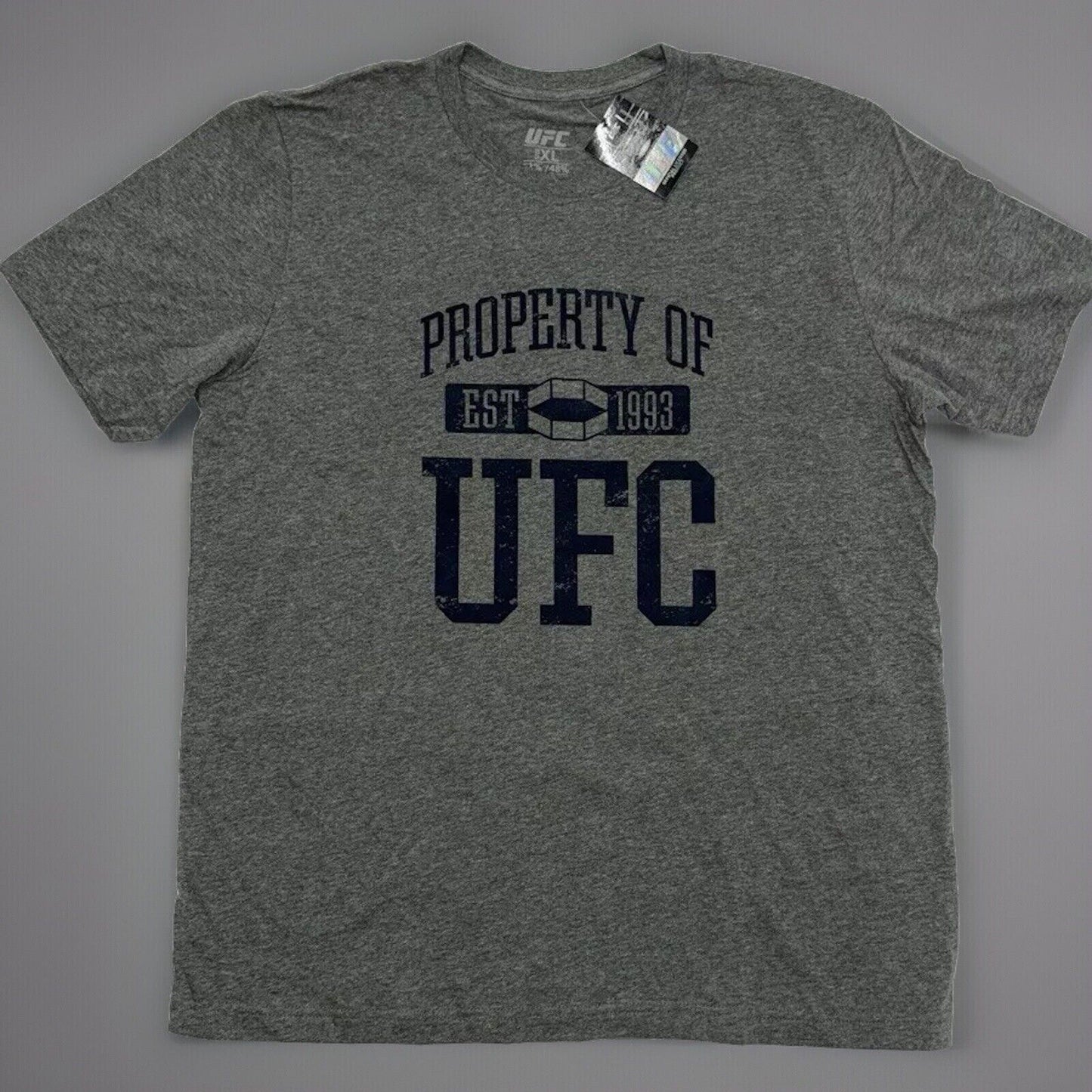 Official UFC Property of UFC T-Shirt Men's Grey